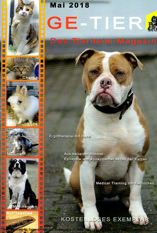 Ergotherapie mit Hund