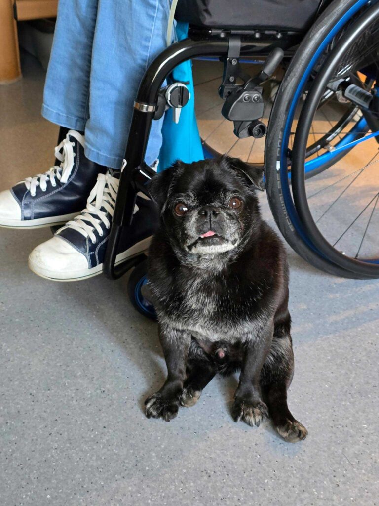 Foto: Ergotherapie und Selbstwirksamkeit – warum kleine Schritte große Wirkung haben
